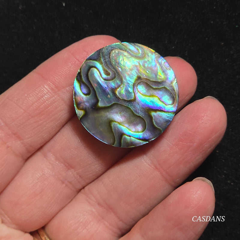 Abalone Shell Cabochon
