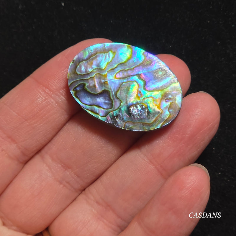 Abalone Shell Cabochon