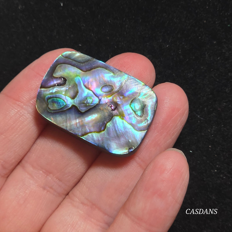 Abalone Shell Cabochon