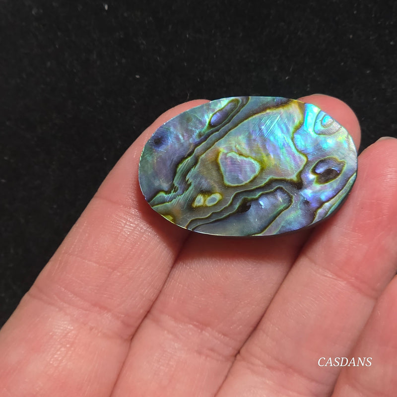 Abalone Shell Cabochon
