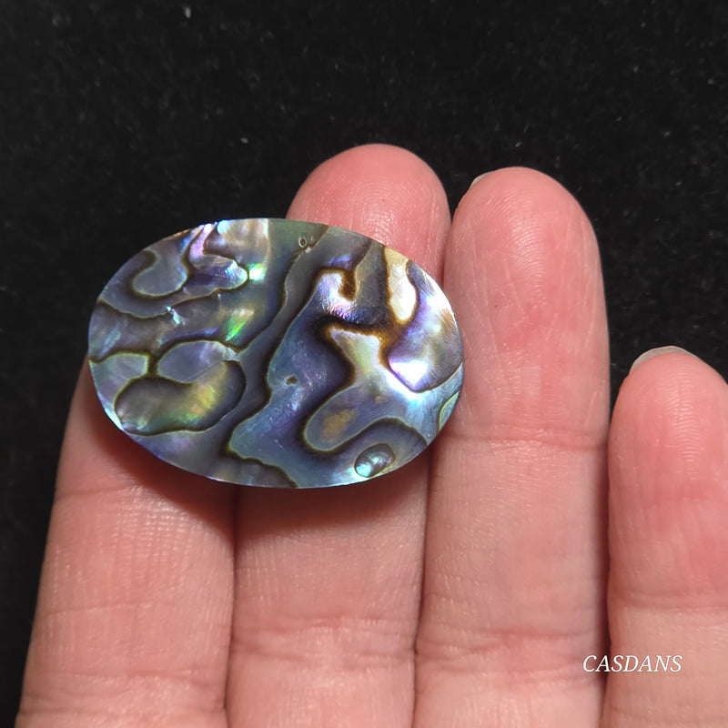 Abalone Shell Cabochon