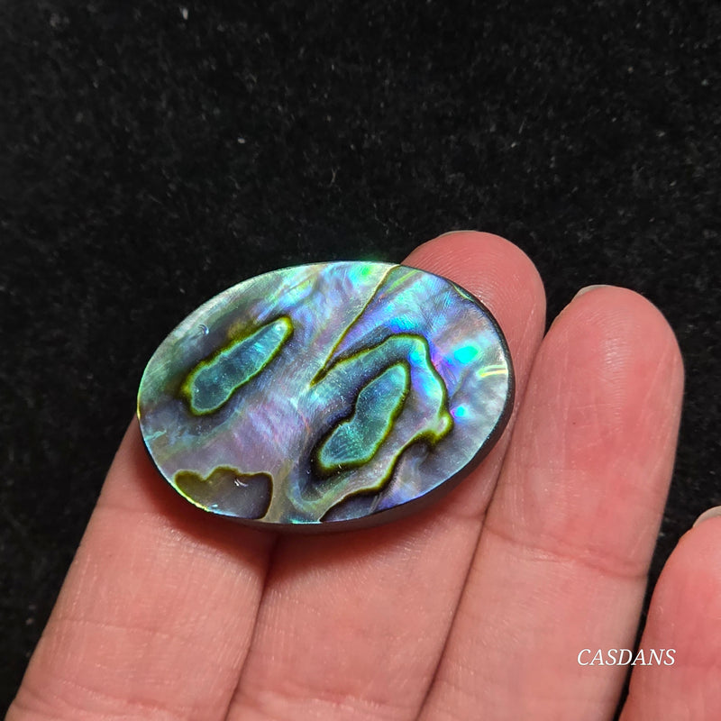 Abalone Shell Cabochon