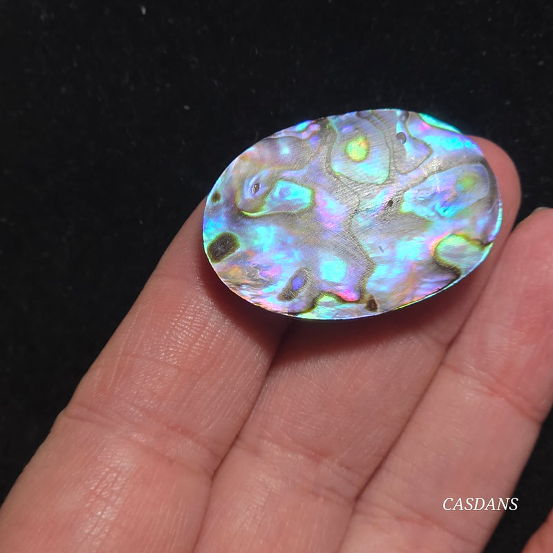 Abalone Shell Cabochon