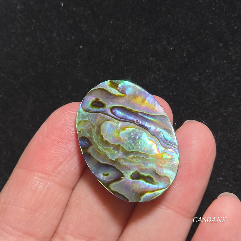 Abalone Shell Cabochon