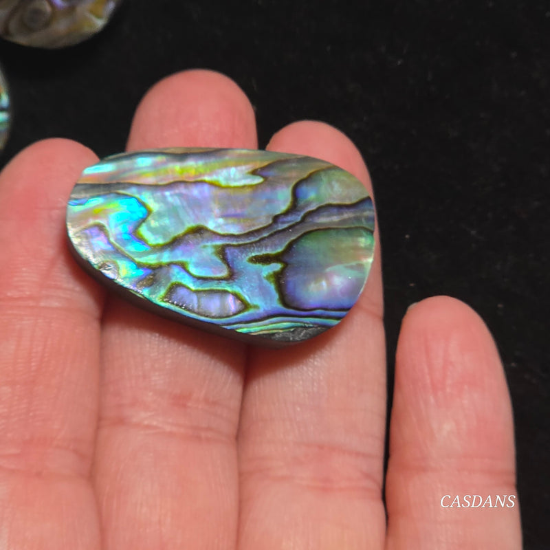Abalone Shell Cabochon
