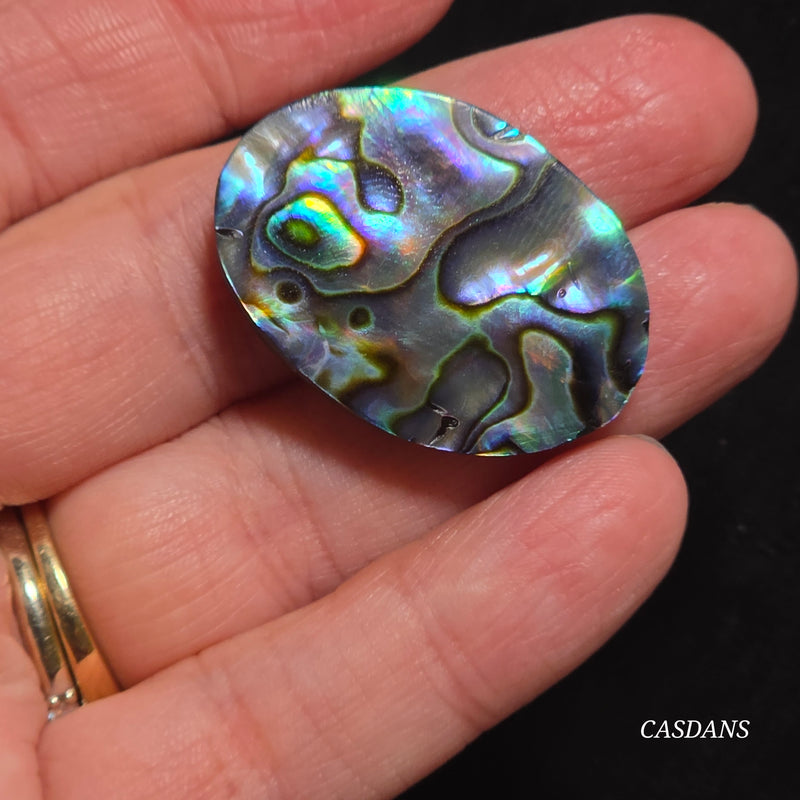 Abalone Shell Cabochon