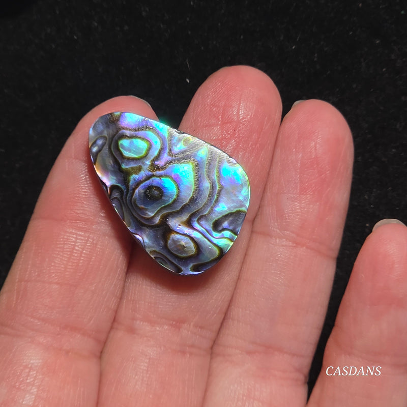 Abalone Shell Cabochon