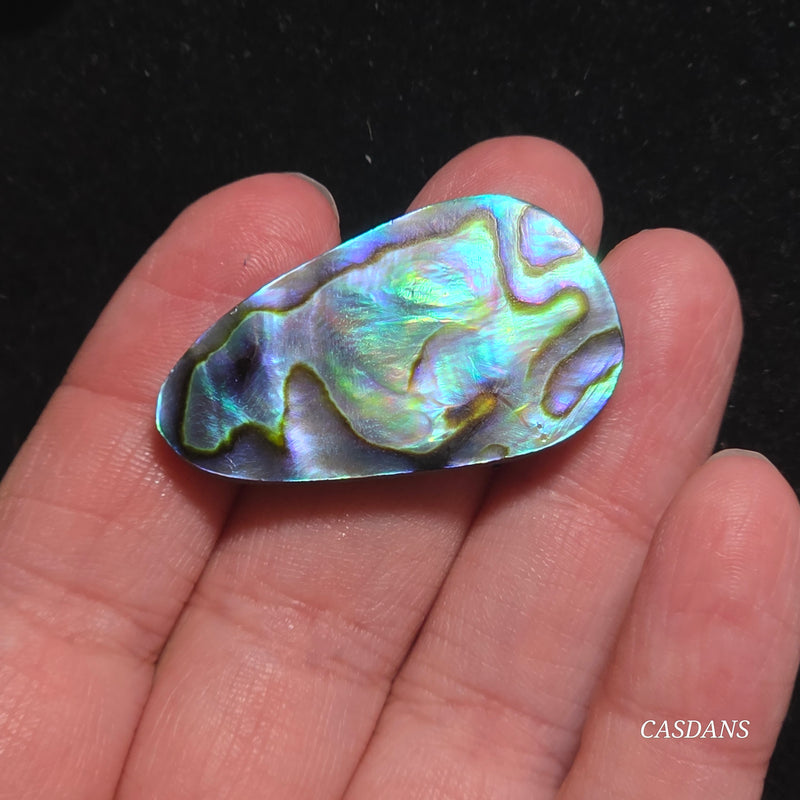 Abalone Shell Cabochon
