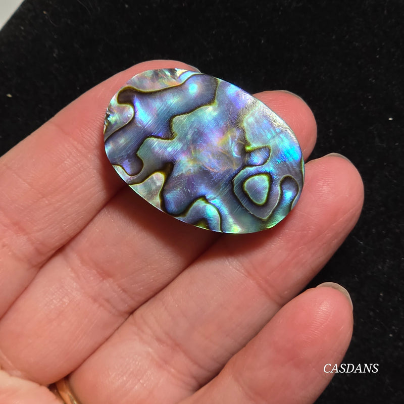 Abalone Shell Cabochon