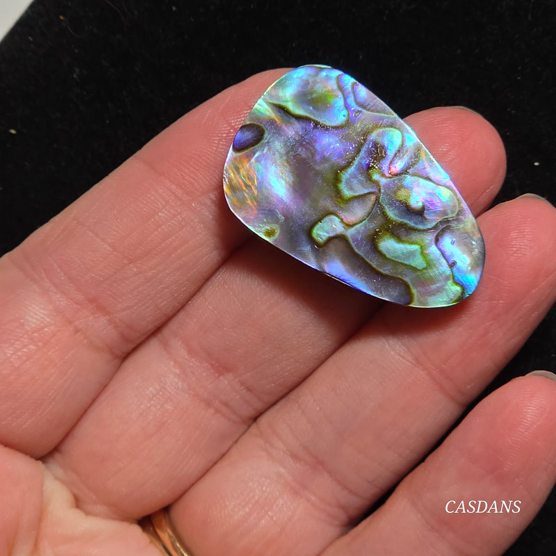 Abalone Shell Cabochon