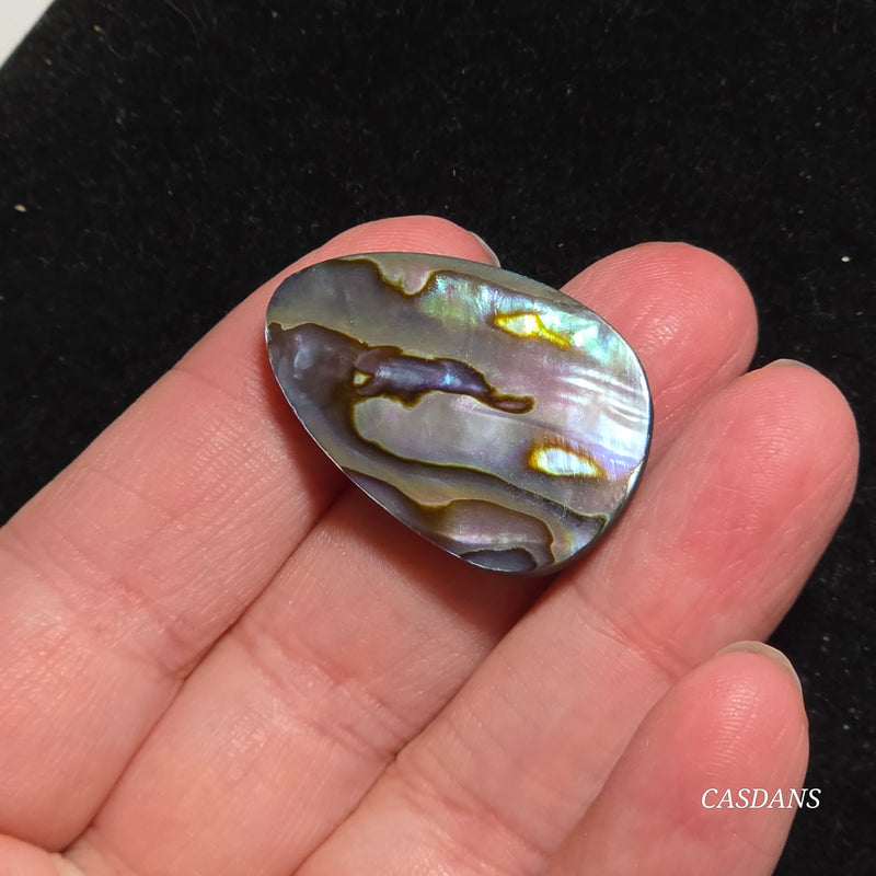 Abalone Shell Cabochon