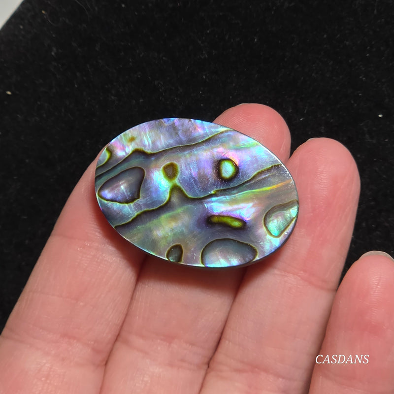 Abalone Shell Cabochon