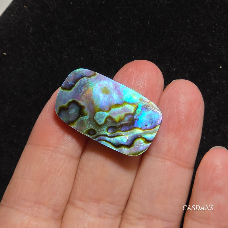 Abalone Shell Cabochon