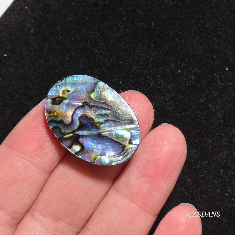 Abalone Shell Cabochon