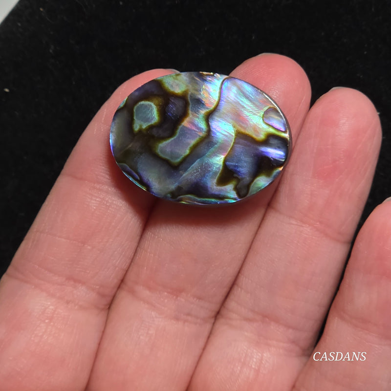 Abalone Shell Cabochon