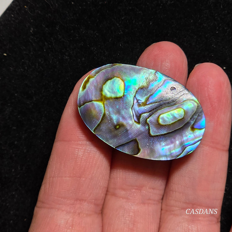 Abalone Shell Cabochon