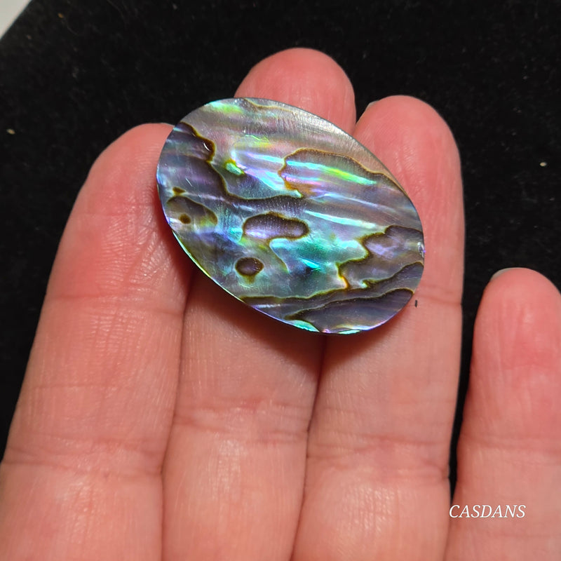 Abalone Shell Cabochon