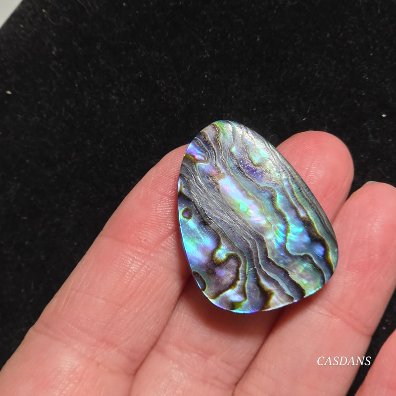 Abalone Shell Cabochon