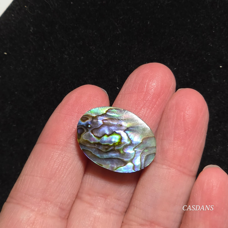 Abalone Shell Cabochon