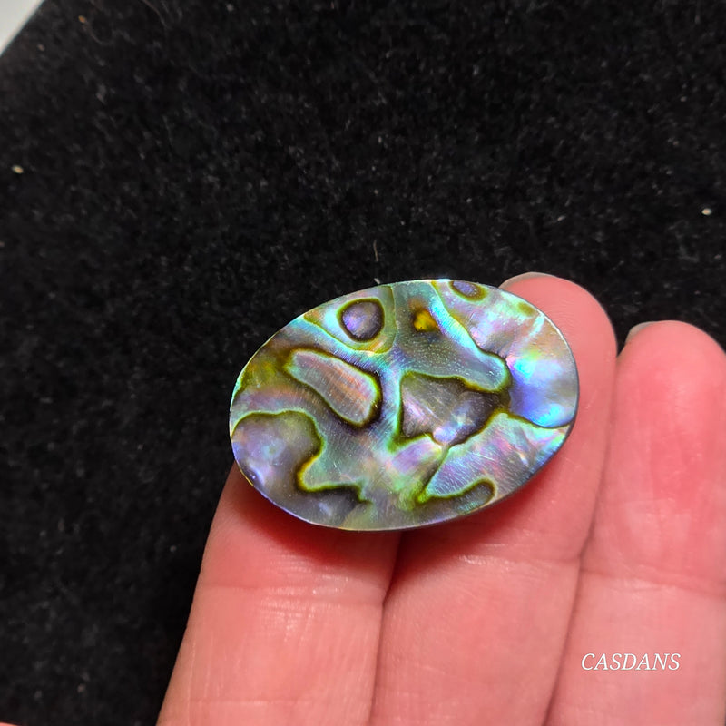 Abalone Shell Cabochon