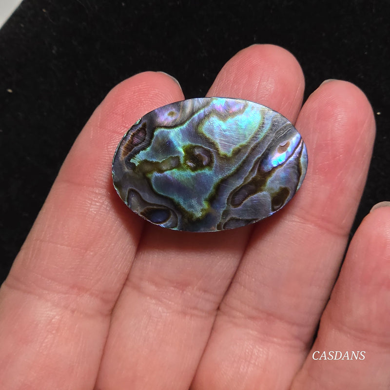 Abalone Shell Cabochon