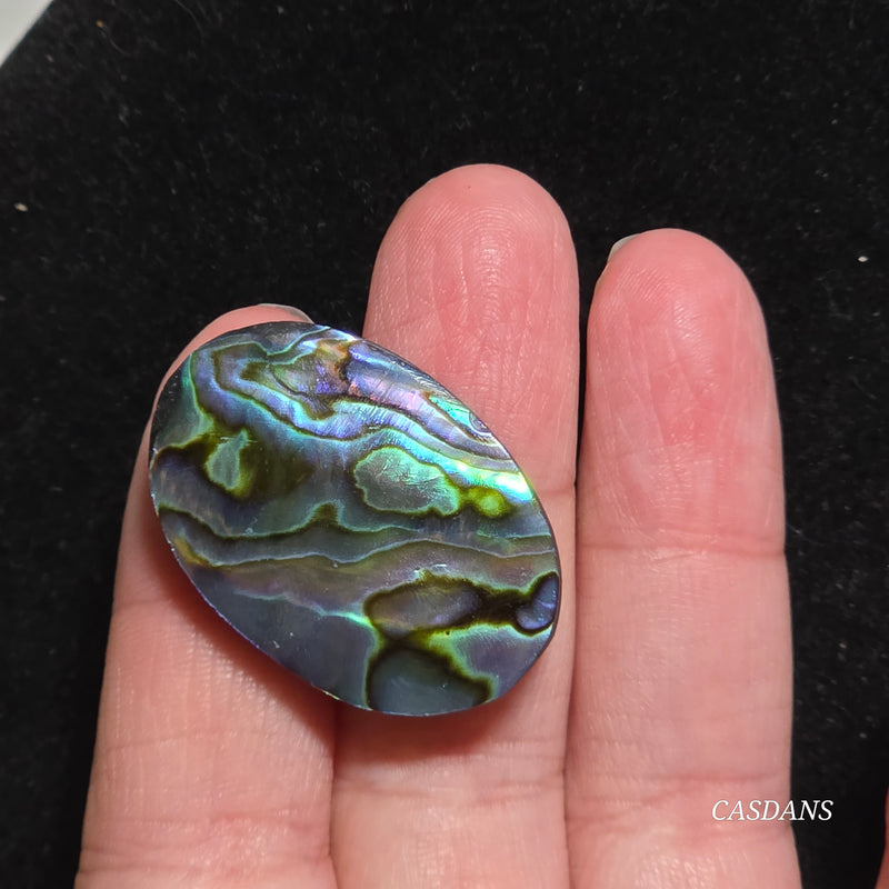 Abalone Shell Cabochon