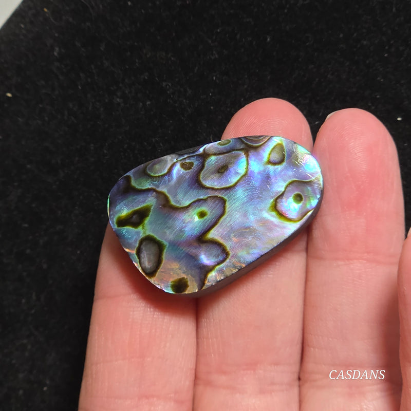 Abalone Shell Cabochon