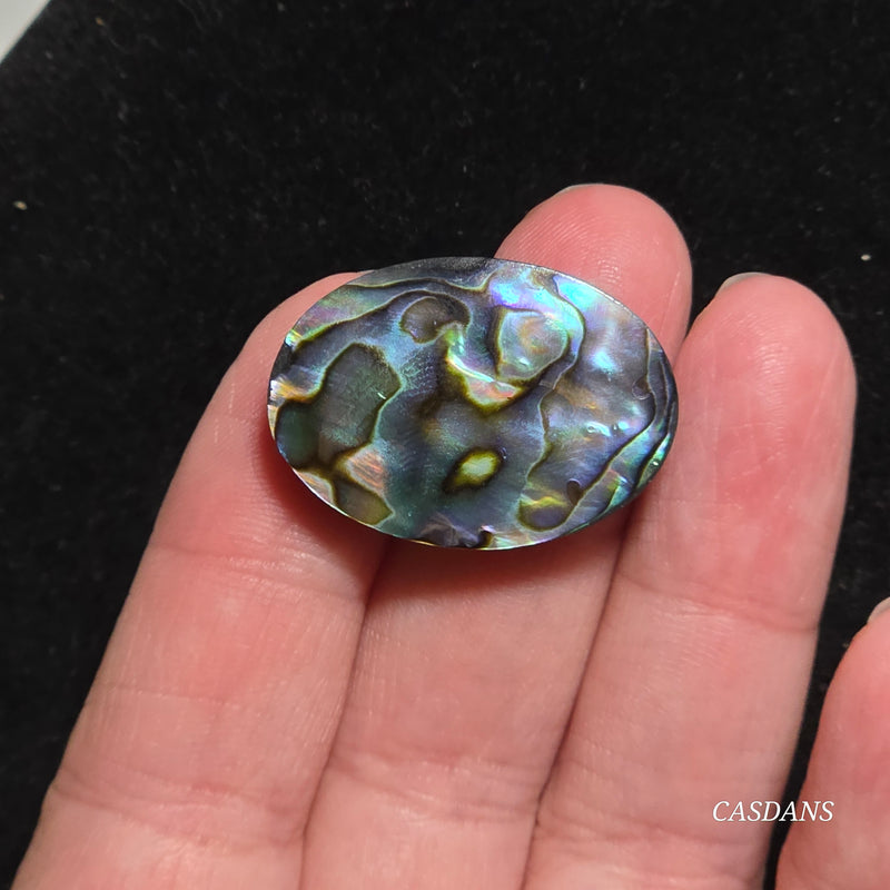 Abalone Shell Cabochon