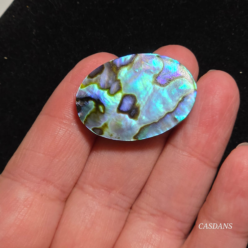 Abalone Shell Cabochon