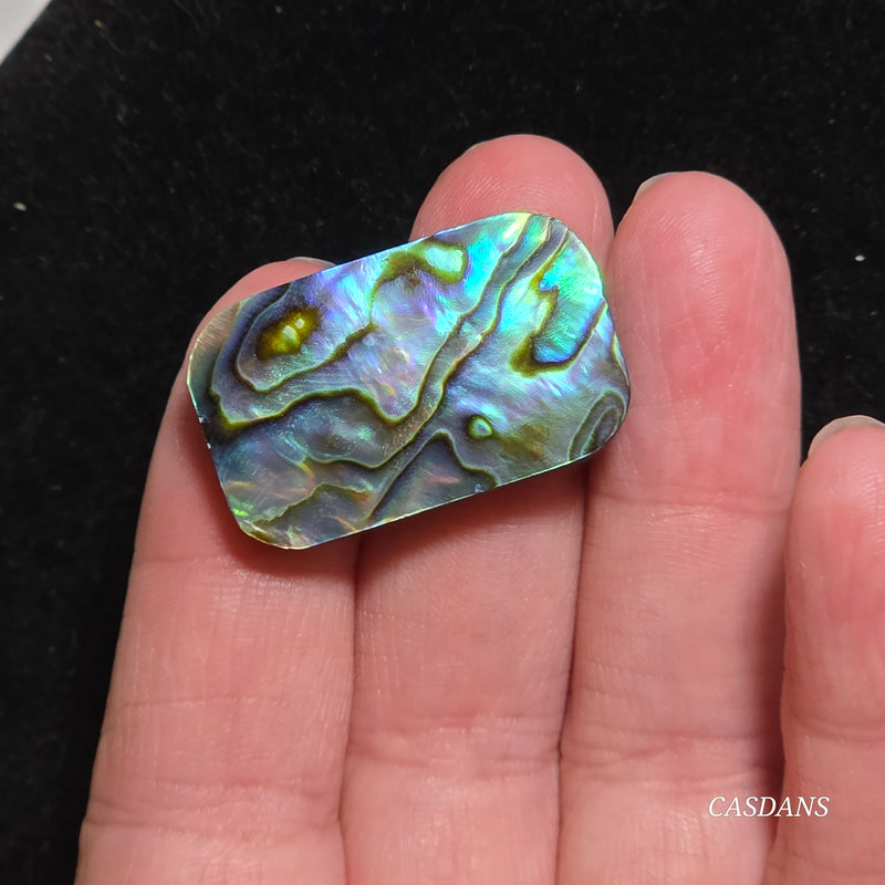 Abalone Shell Cabochon