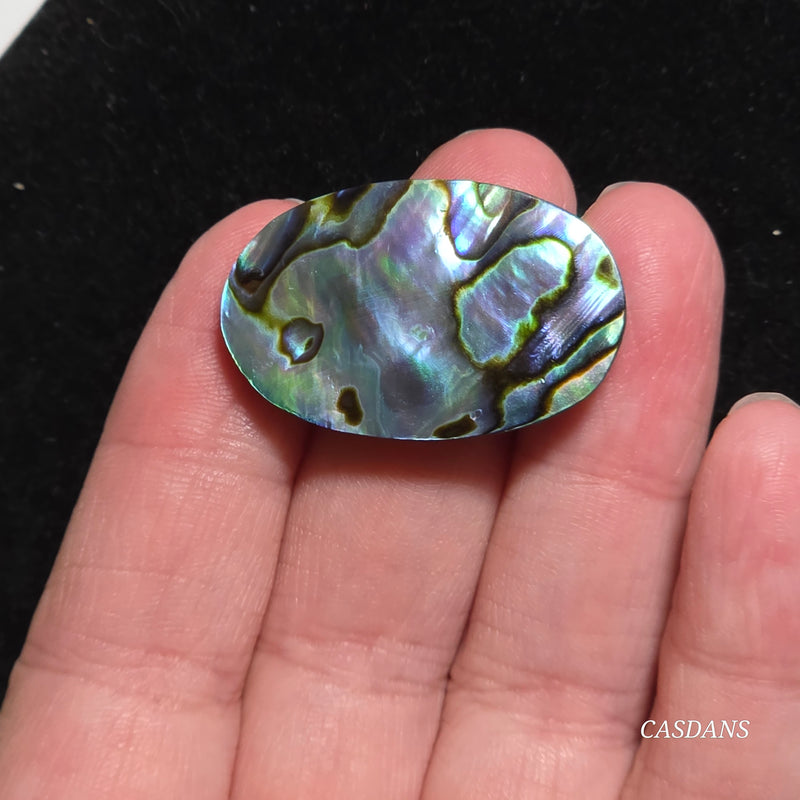 Abalone Shell Cabochon