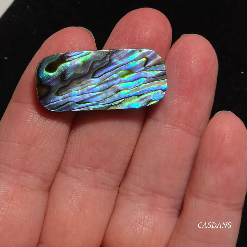 Abalone Shell Cabochon