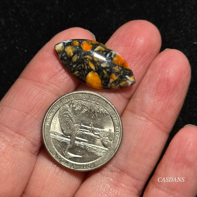 Spondylus Night Composite Cabochon