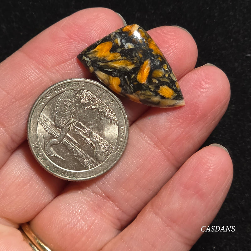 Spondylus Night Composite Cabochon