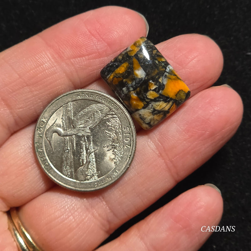 Spondylus Night Composite Cabochon