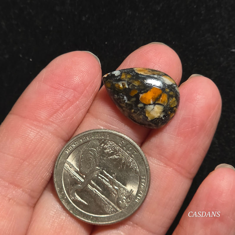 Spondylus Night Composite Cabochon