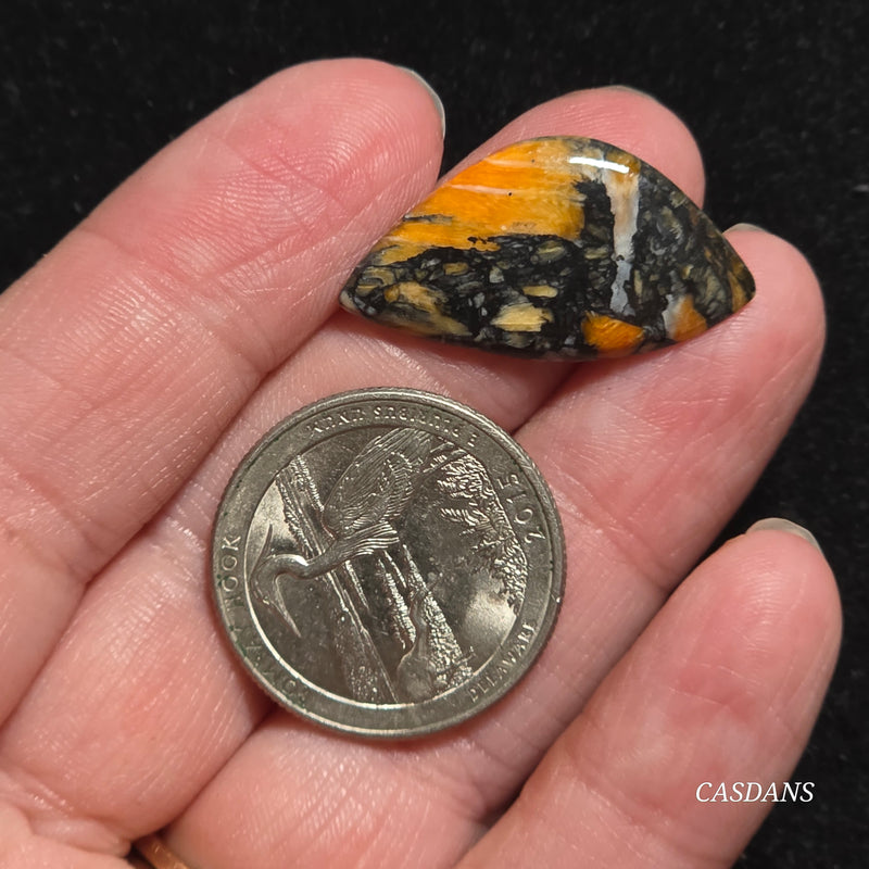 Spondylus Night Composite Cabochon