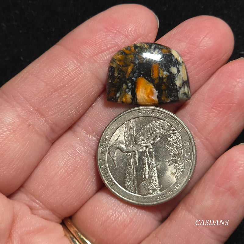 Spondylus Night Composite Cabochon