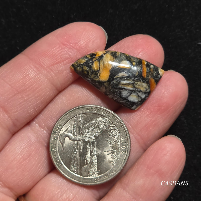 Spondylus Night Composite Cabochon