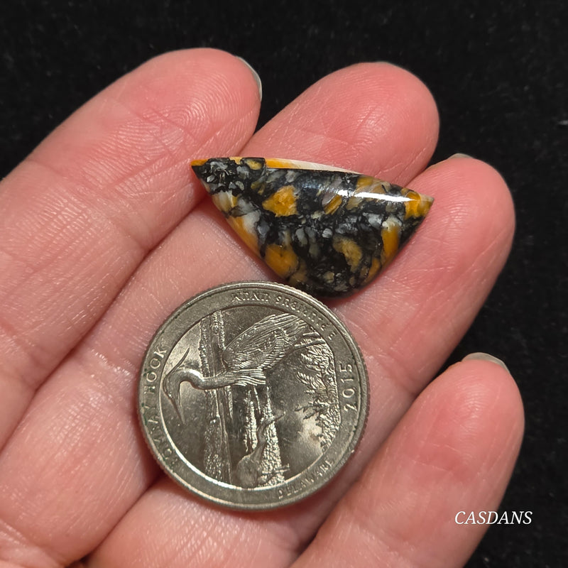 Spondylus Night Composite Cabochon