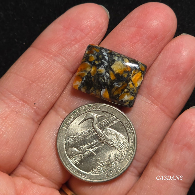 Spondylus Night Composite Cabochon