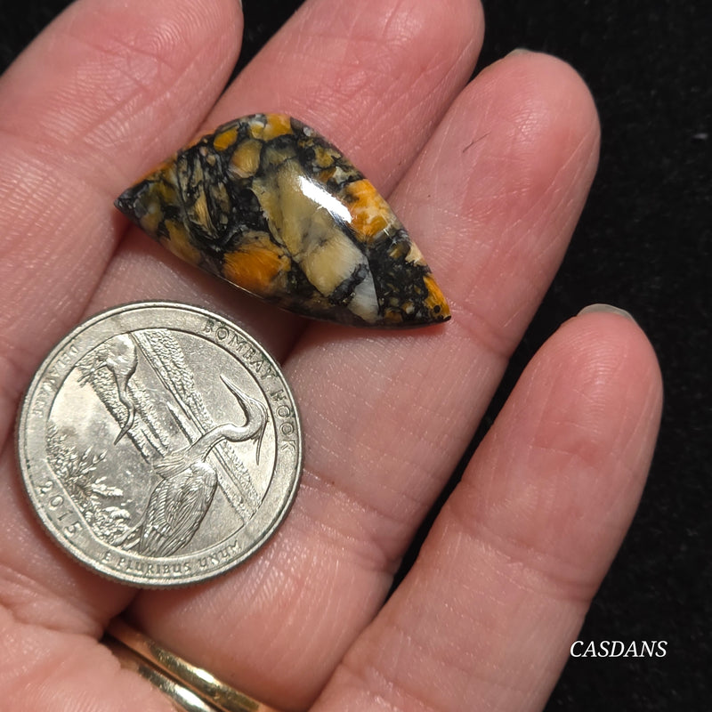 Spondylus Night Composite Cabochon