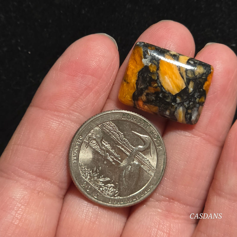 Spondylus Night Composite Cabochon