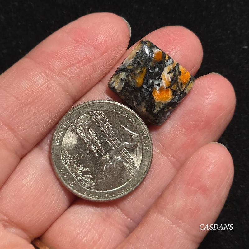 Spondylus Night Composite Cabochon