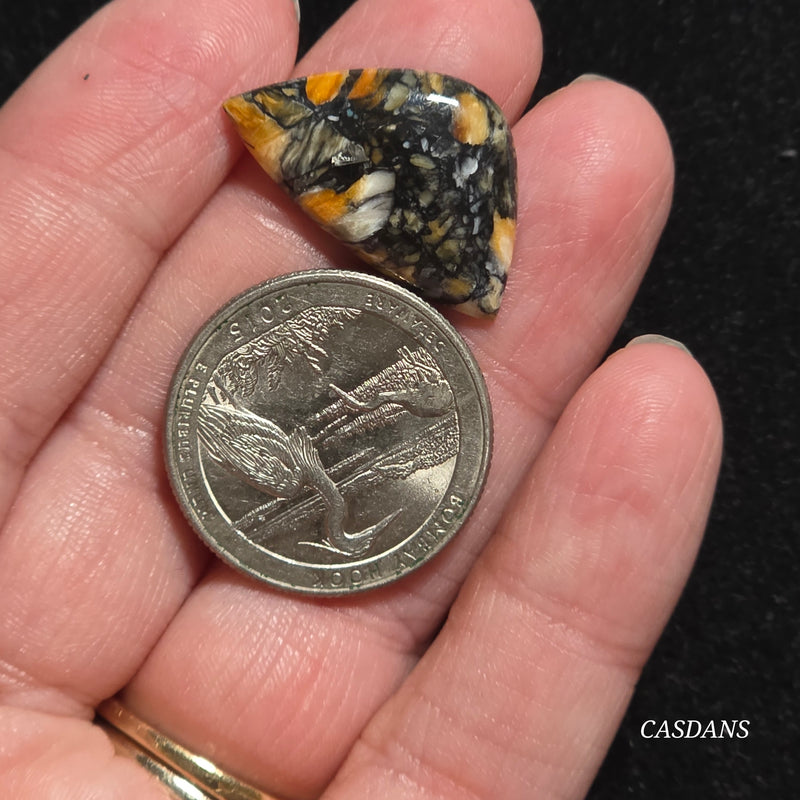 Spondylus Night Composite Cabochon