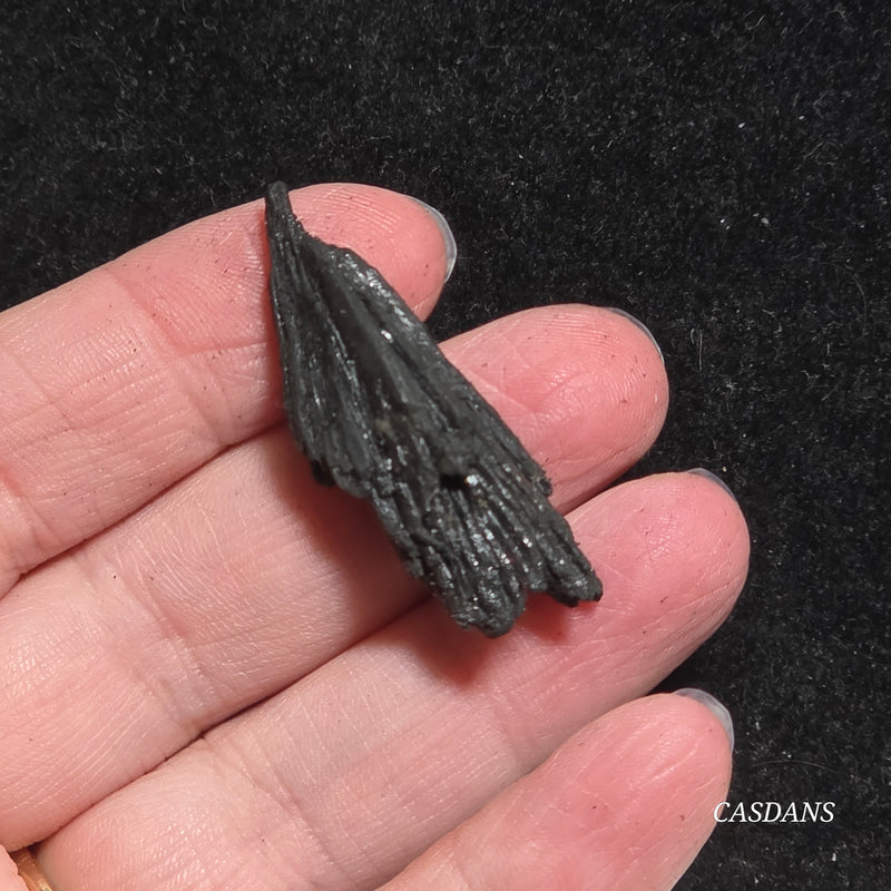 Black Kyanite Fan
