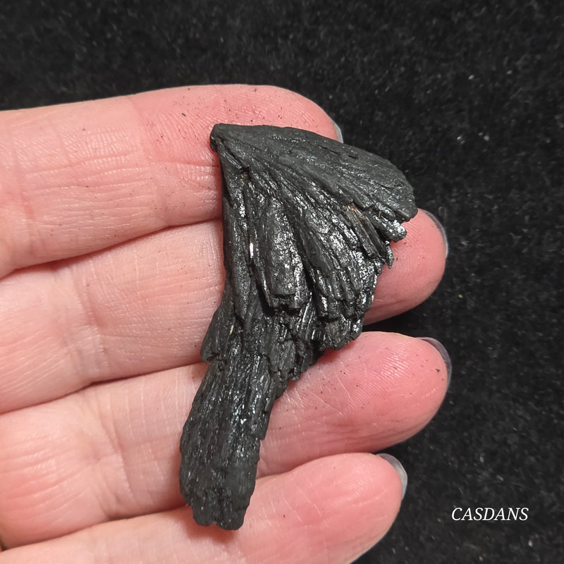 Black Kyanite Fan