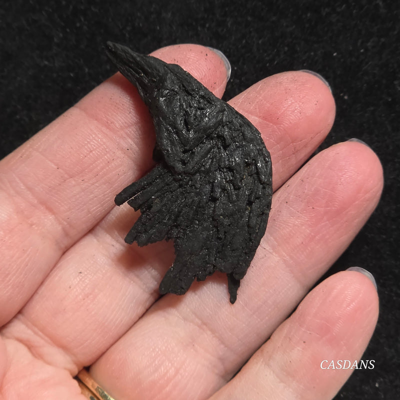 Black Kyanite Fan