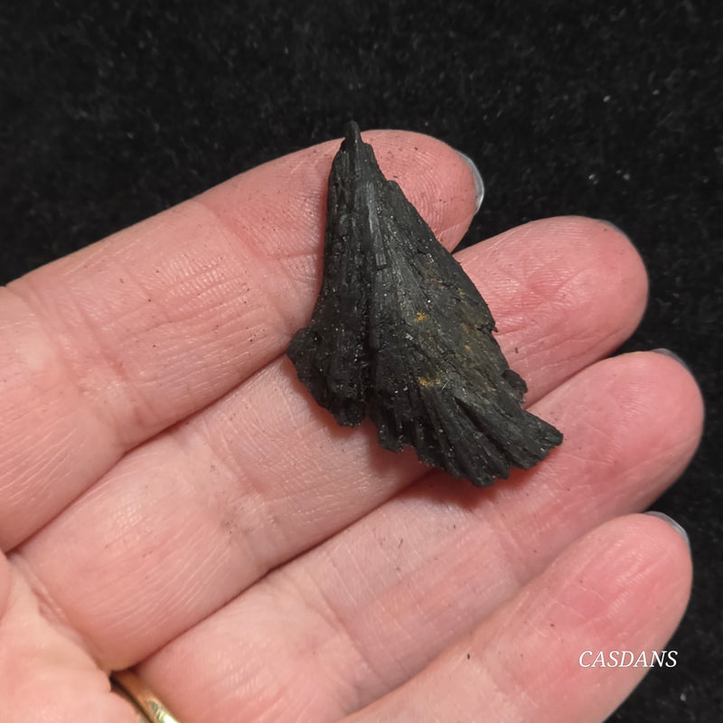 Black Kyanite Fan