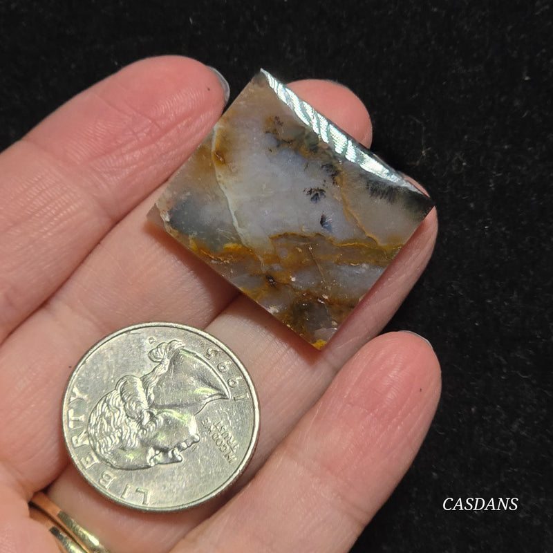Dendritic Agate Cabochon